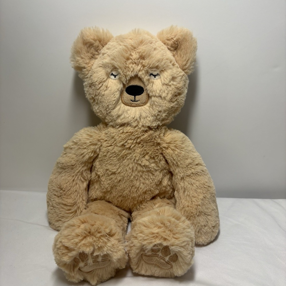 Slumberkins Honey Bear Kin Tan 14" Gratitude & Appreciation Minky Calm Cozy EUC